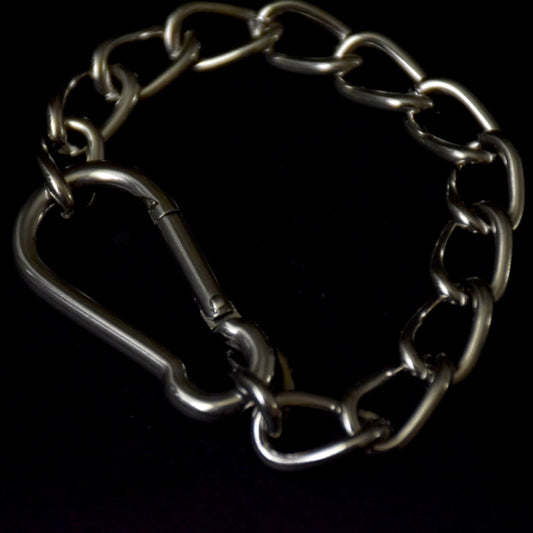 Carabiner Curved Chain Stainless Steel Bracelet