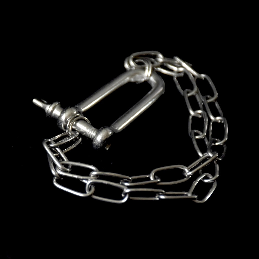 Screw-on Clip Chain Stainless Steel Bracelet