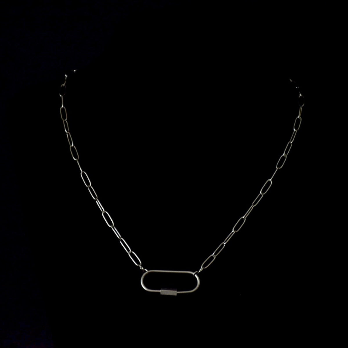 Carabiner Clip Chain Stainless Steel Necklace