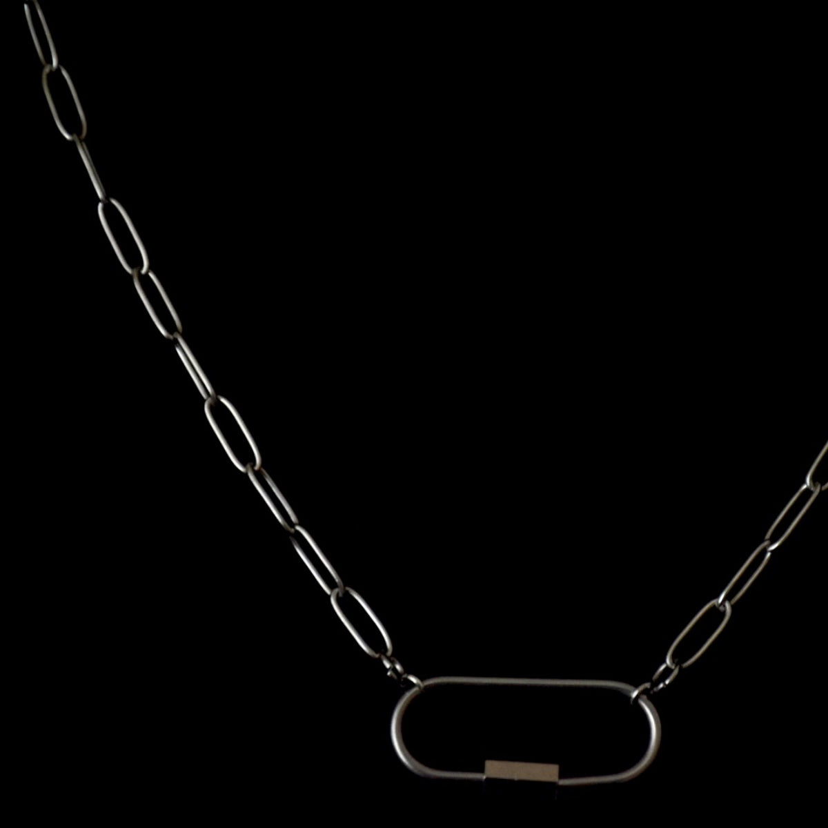 Carabiner Clip Chain Stainless Steel Necklace