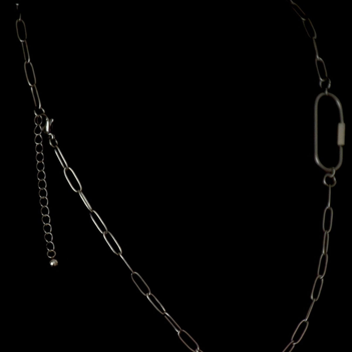 Carabiner Clip Chain Stainless Steel Necklace