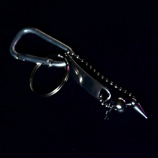 Stainless Steel Charms Carabiner