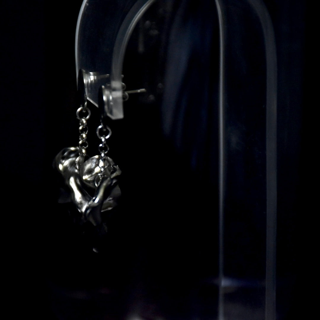 Heart Drop
Stainless Steel Earrings