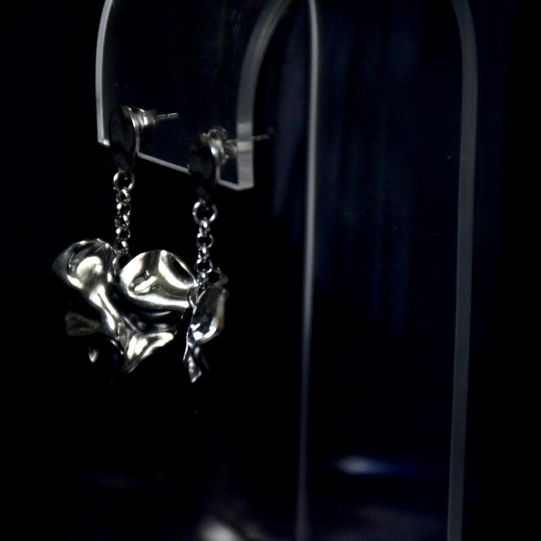 Heart Drop
Stainless Steel Earrings