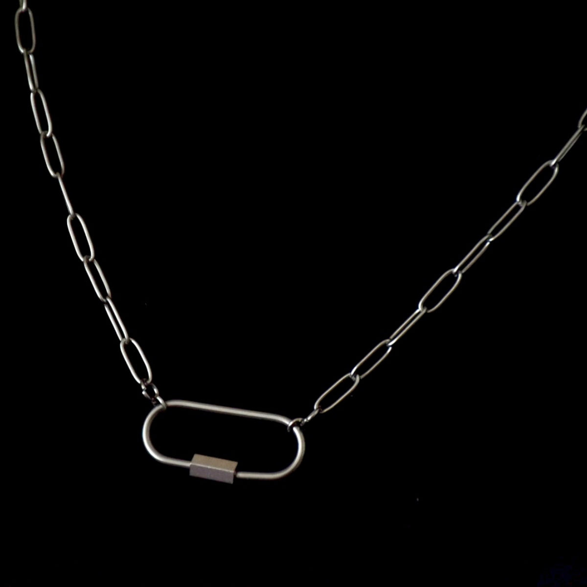 Carabiner Clip Chain Stainless Steel Necklace