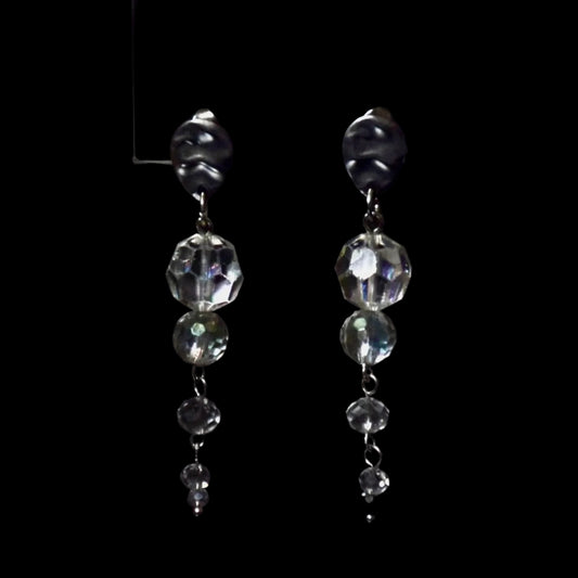 Crystal Drop Stainless Steel Earrings