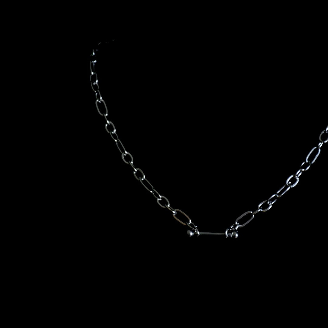 Dog Bone 
Stainless Steel Choker