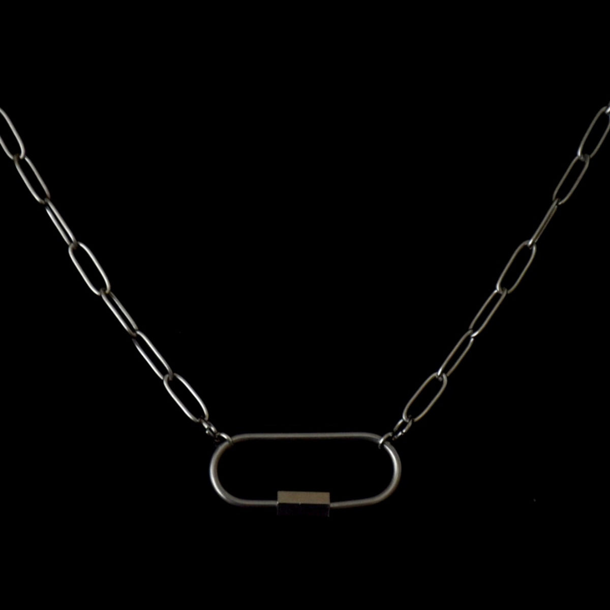 Carabiner Clip Chain Stainless Steel Necklace