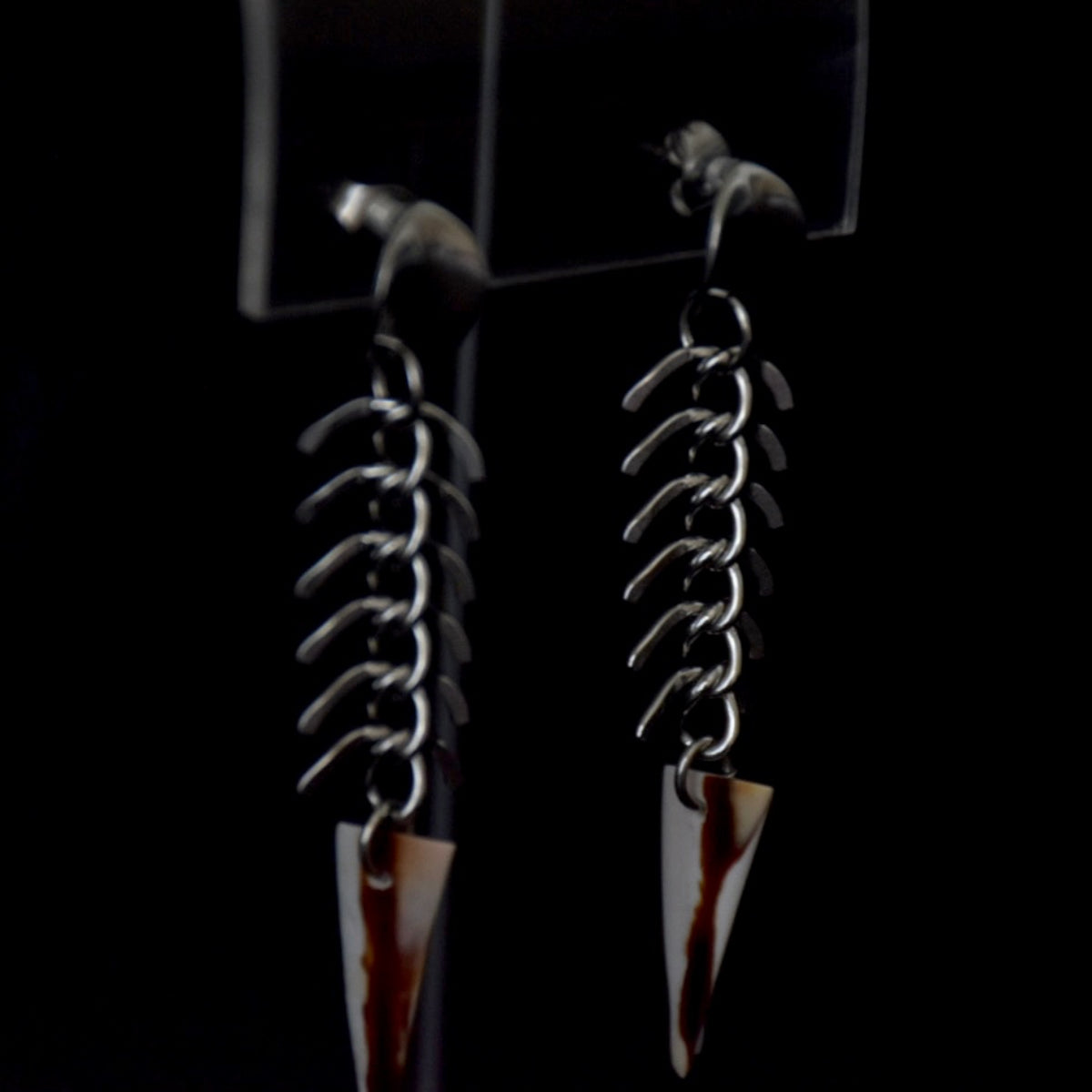 Canine Spinal Stainless Steel Earrings
